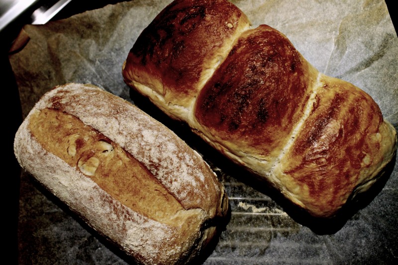 Сендвич леб со кисела павлака