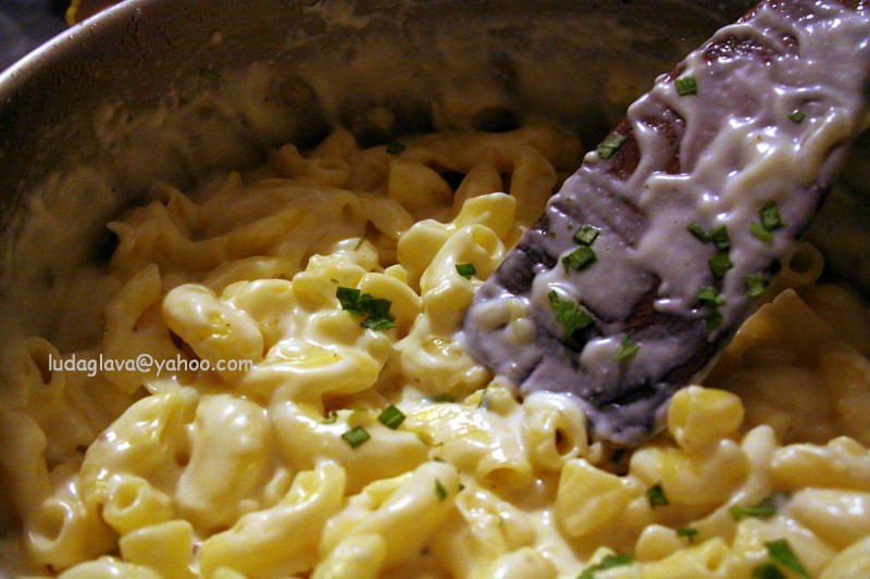 Кремасти макарони со млеко, топено сирење и печурки