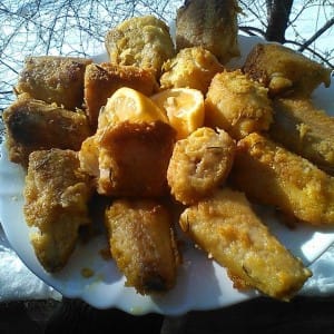 Мариниран ослич во палента