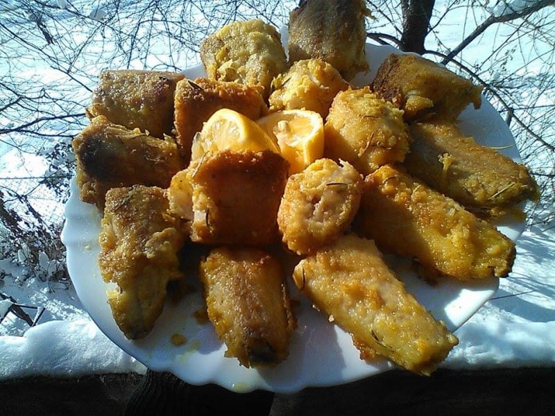 Мариниран ослич во палента