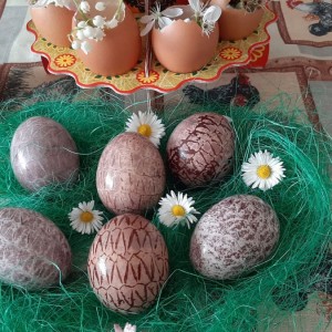 Вапцување на јајца со аронија-на природен начин