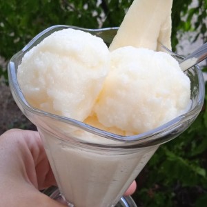 Овошен замрзнат јогурт (oд диња)